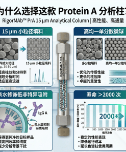 Alternative view of RigorMAb™ Protein A 亲和分析柱(单抗/IgG 定量分析 · 15μm · 耐碱可再生)