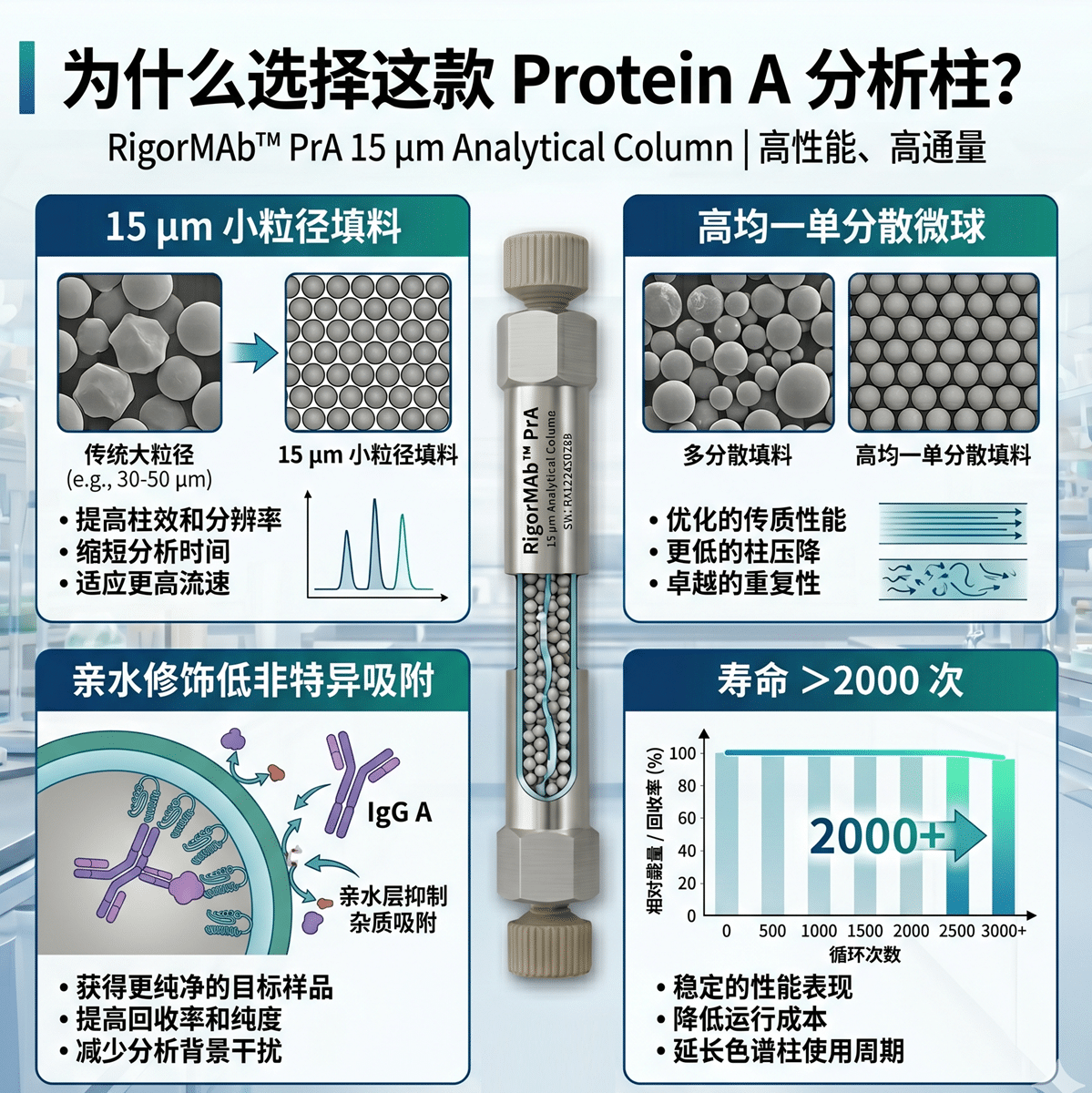 RigorMAb™ Protein A 亲和分析柱(单抗/IgG 定量分析 · 15μm · 耐碱可再生) - 图片 2