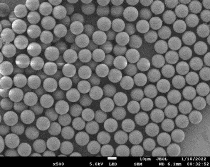 RigorMAb™ Protein A 亲和分析柱(单抗/IgG 定量分析 · 15μm · 耐碱可再生) - 图片 4