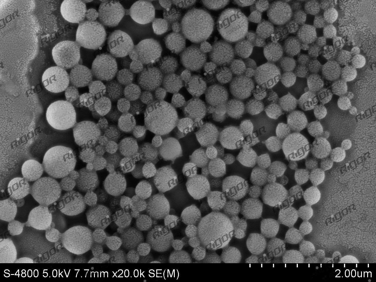 聚氯乙烯(PVC)微球 - 图片 2