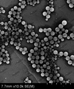 聚氯乙烯（PVC）微球