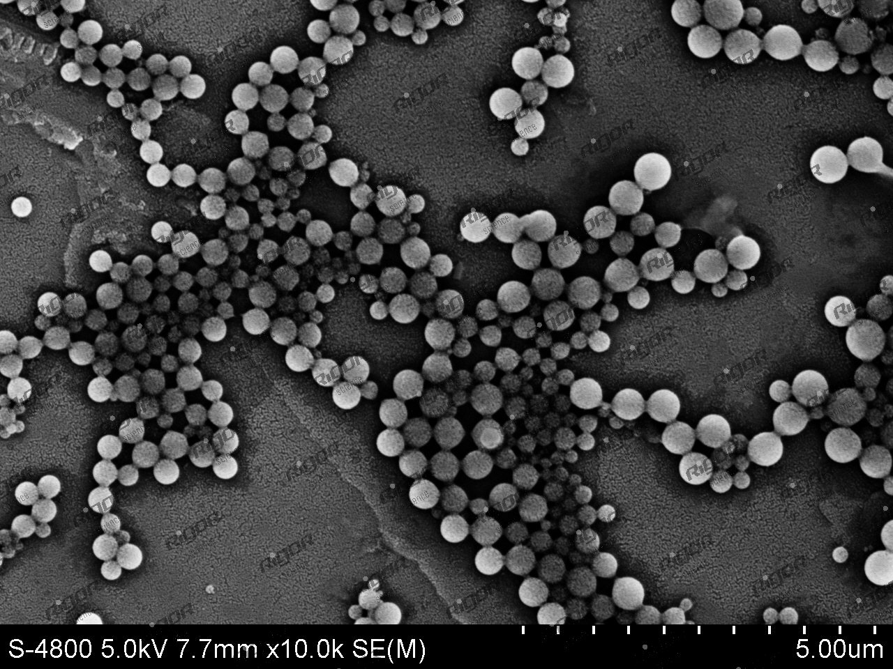 聚氯乙烯(PVC)微球
